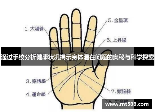 通过手纹分析健康状况揭示身体潜在问题的奥秘与科学探索